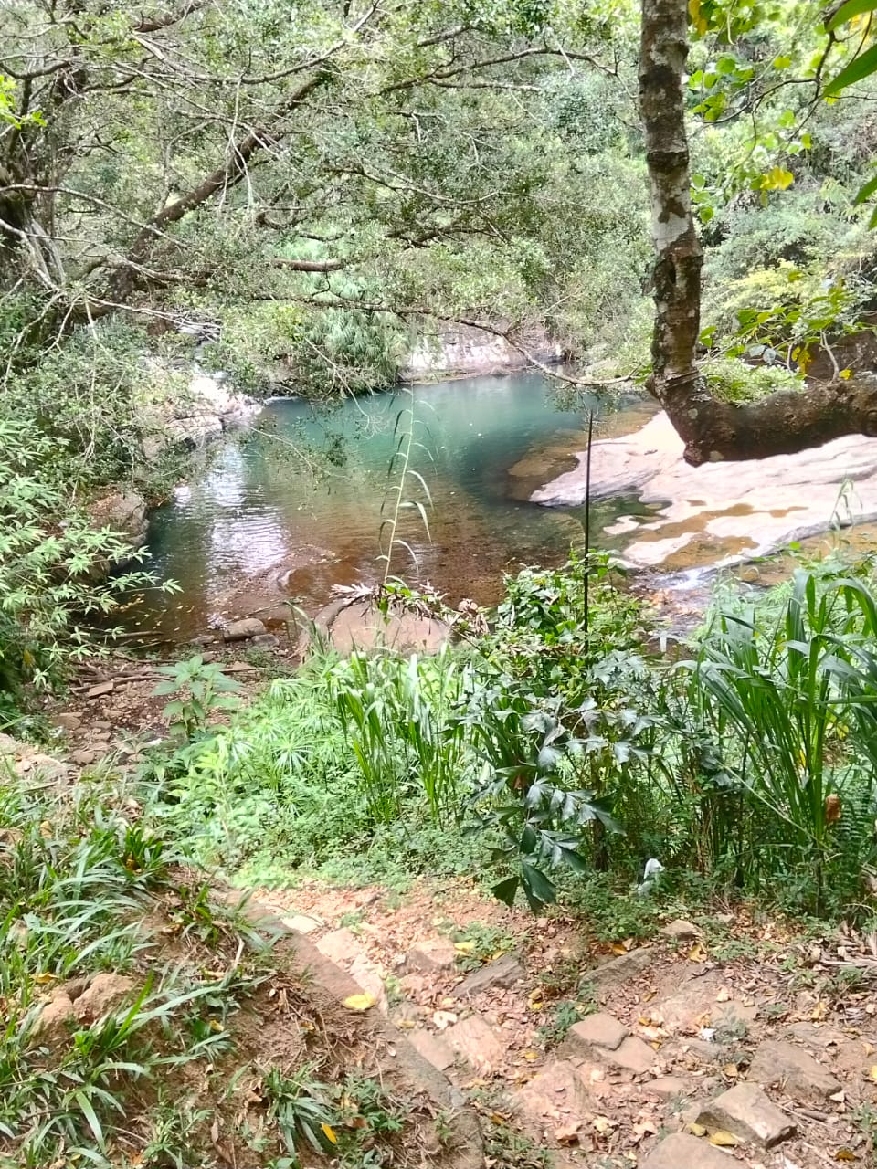 Black Pool