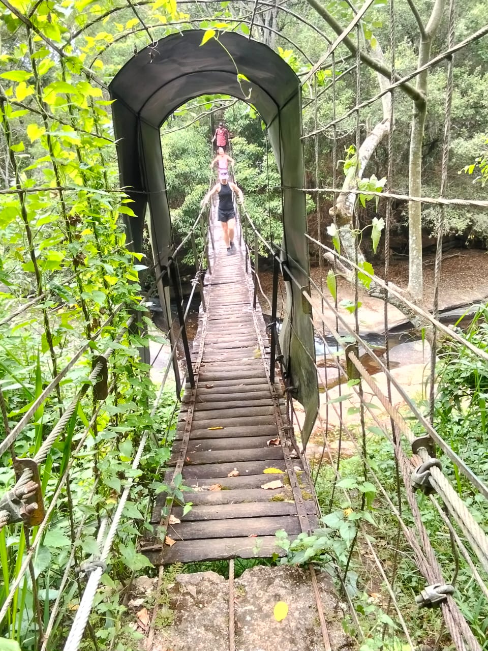 Cable Bridge